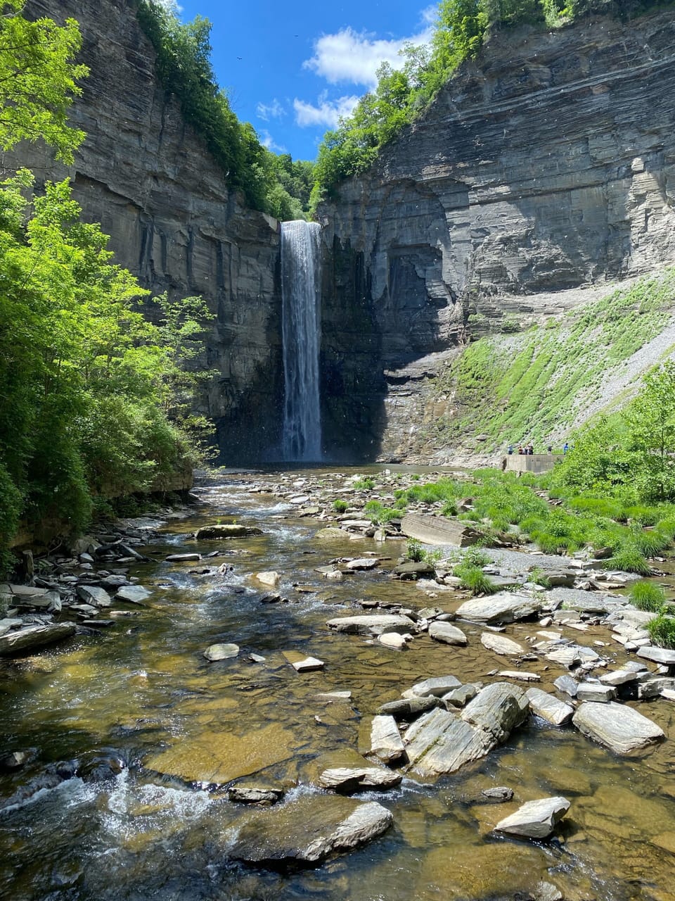 Taughannock Falls State Park, 20 min away!