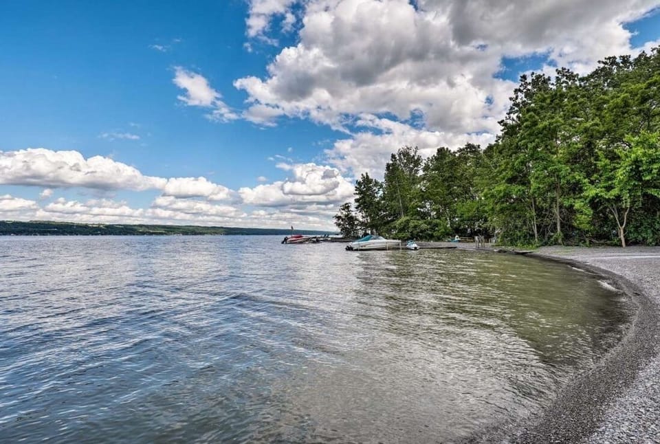 View from Sheldrake Point free boat launch, 8 minutes walk down road!  