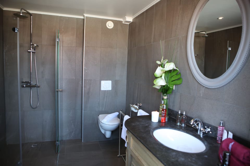 Deluxe Room, 1 Queen Bed | Bathroom | Shower, free toiletries, hair dryer, towels