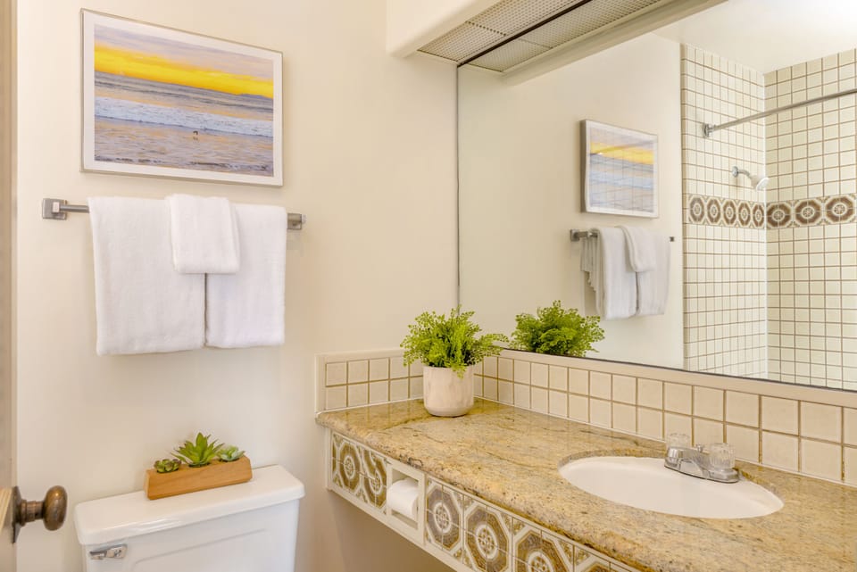 Combined shower/tub, free toiletries, hair dryer, towels