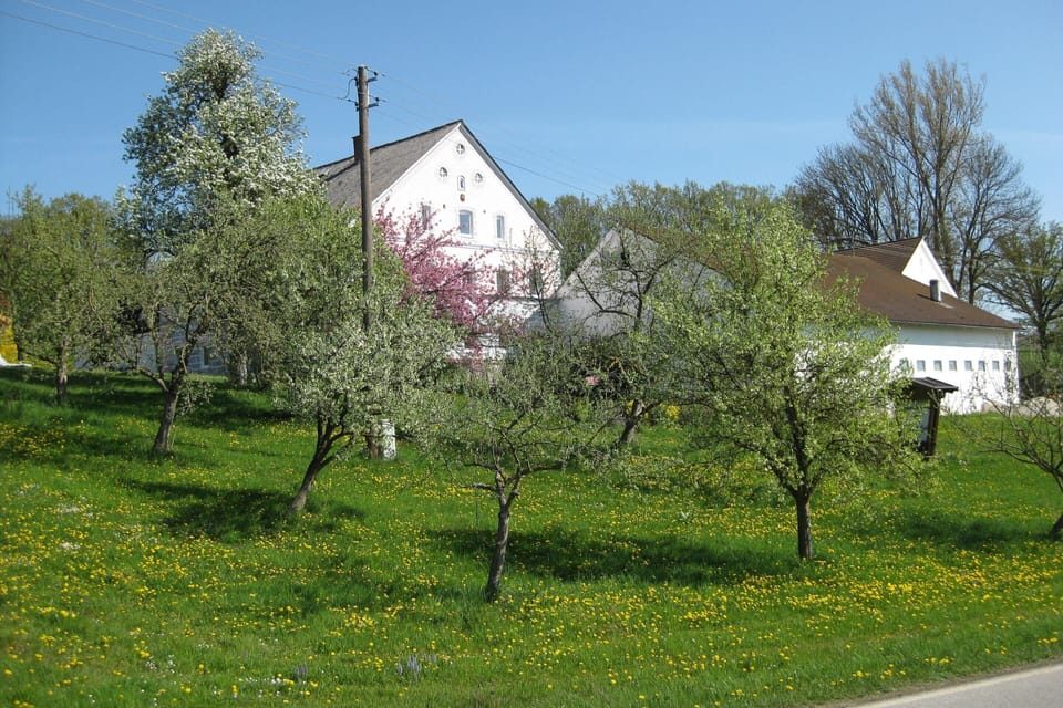 Apartment | Garden