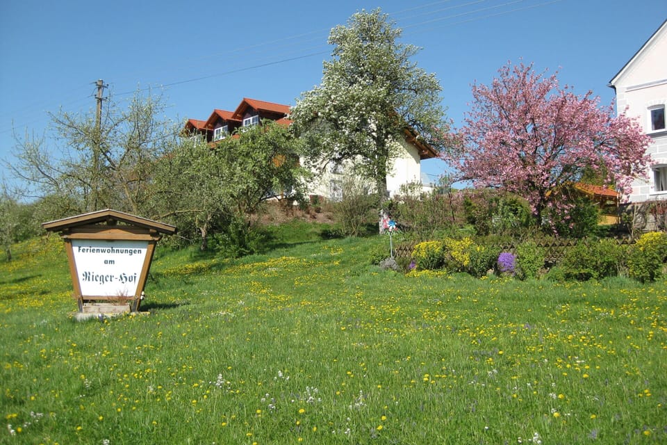 Apartment | Garden