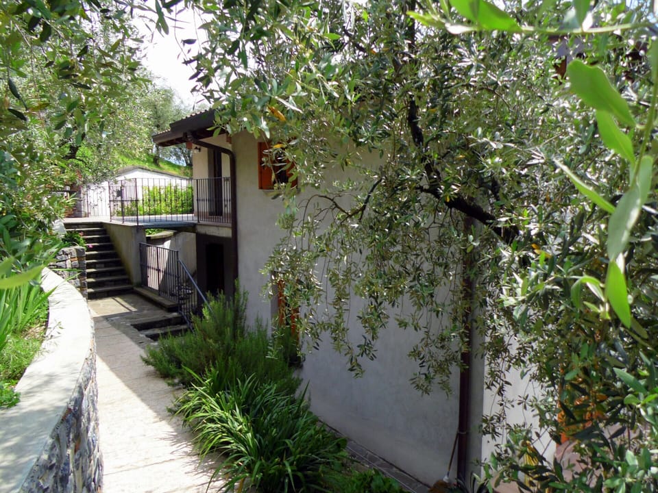 Apartment | Property grounds