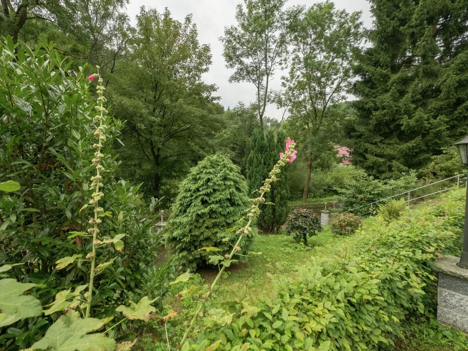 Bungalow | Garden