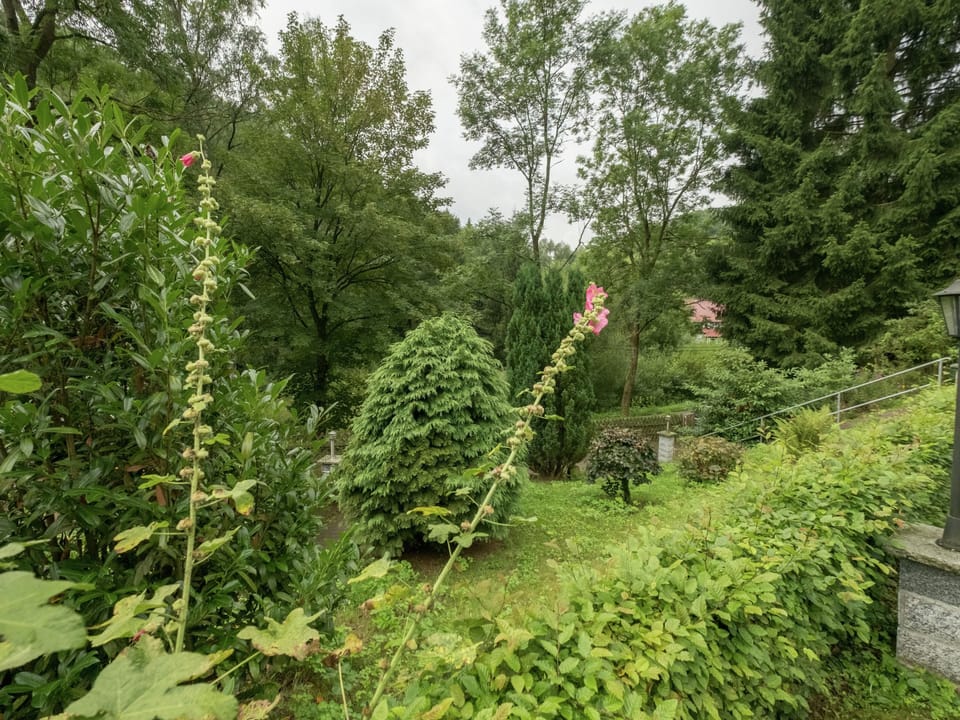 Bungalow | Garden