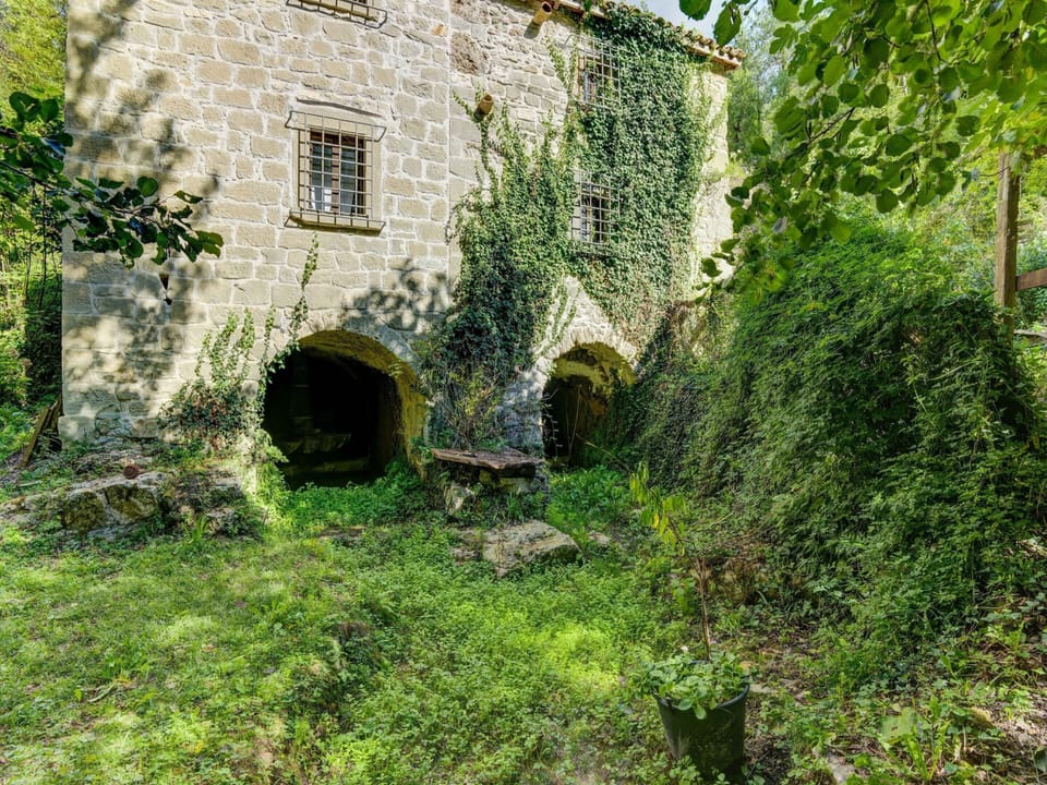 Cottage | Garden