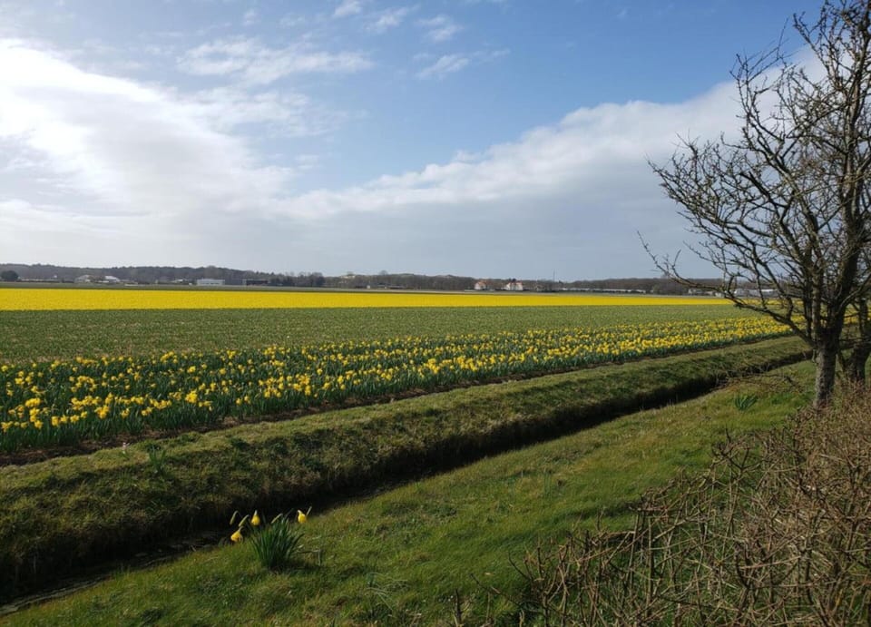 Bungalow | View from property