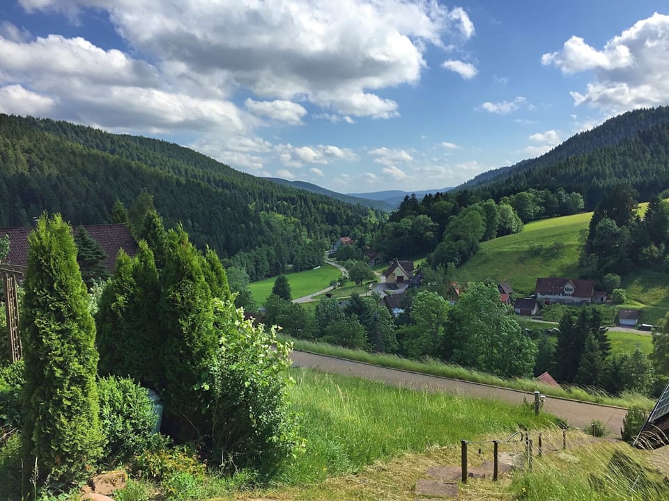 House | View from property