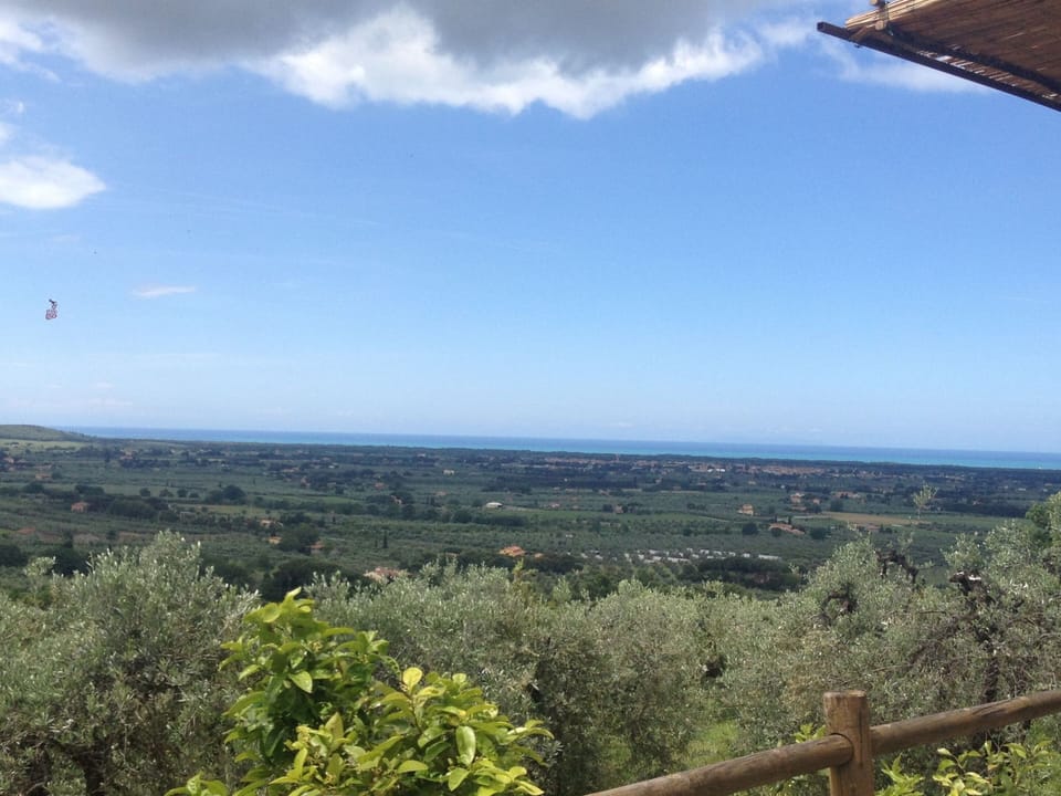 House | View from property