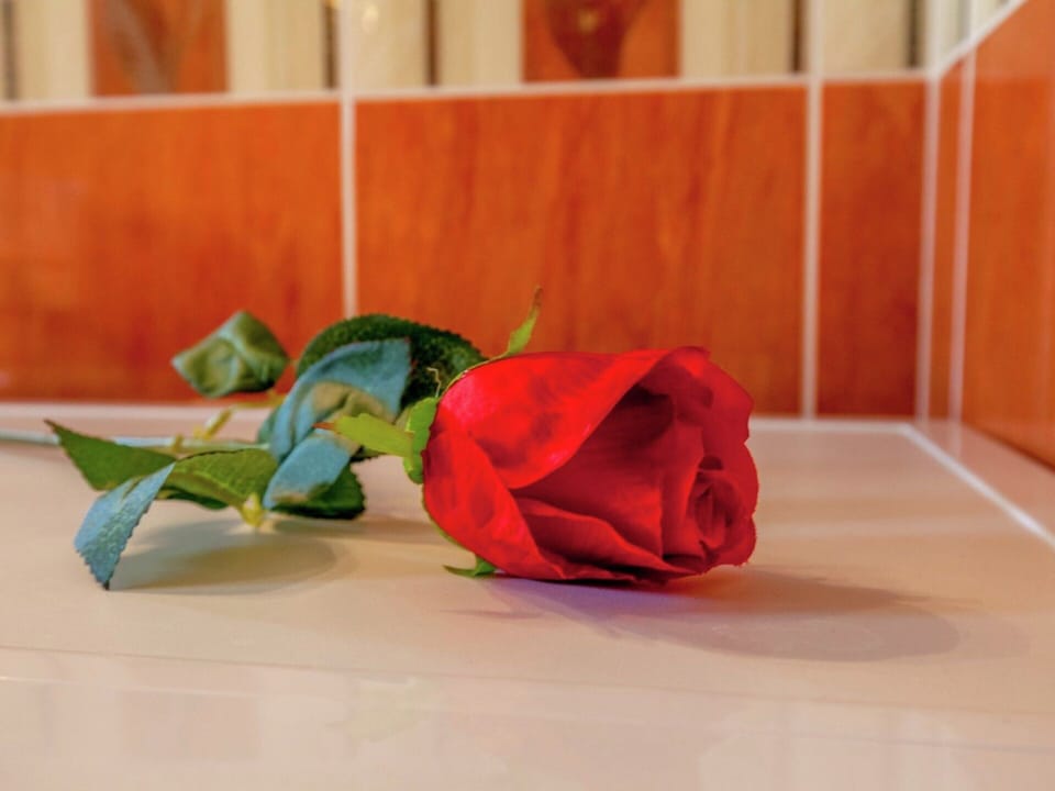 Apartment | Interior detail