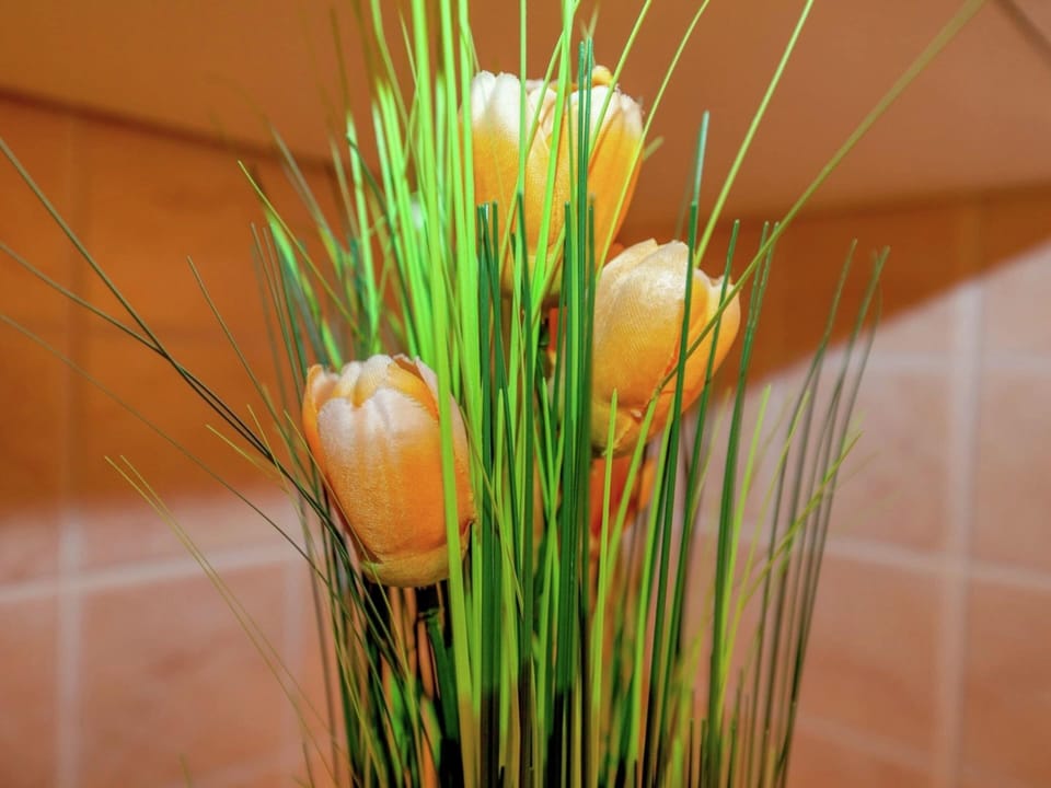 Apartment | Interior detail