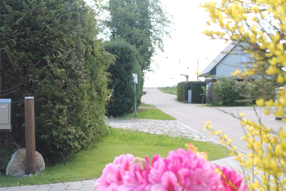 House | View from property