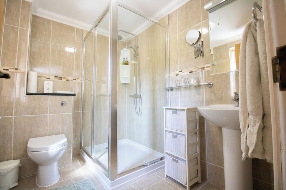 Superior Double or Twin Room | Bathroom | Free toiletries, towels