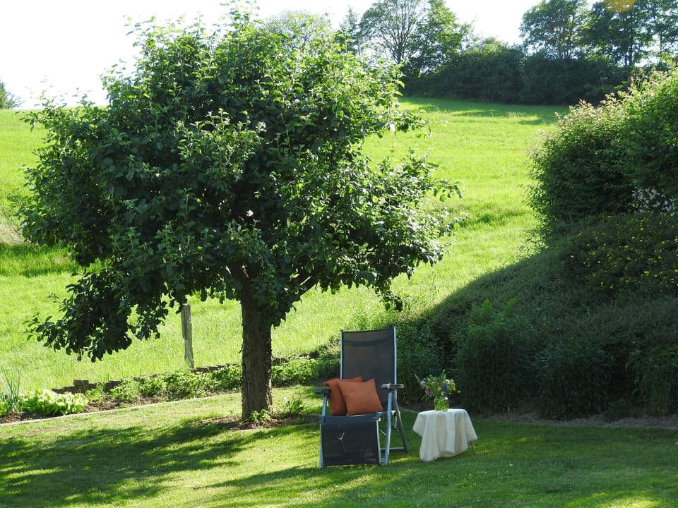 Apartment | View from property