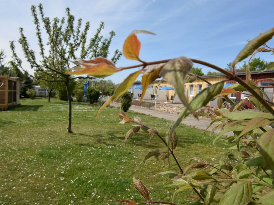 Apartment | Property amenity