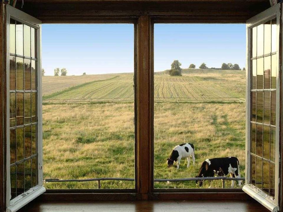 Cottage | View from property