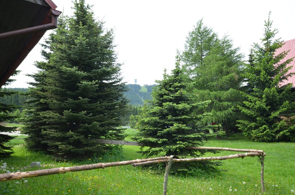 Chalet | Garden