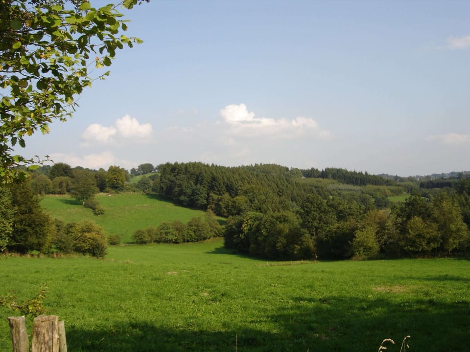 House | View from property