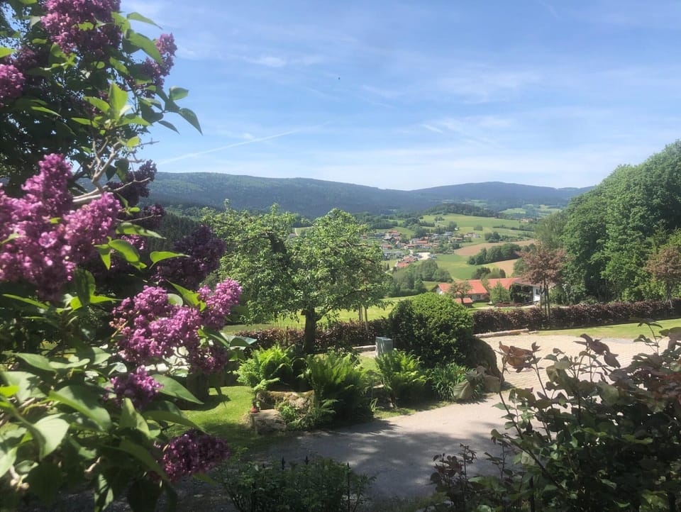 House | View from property