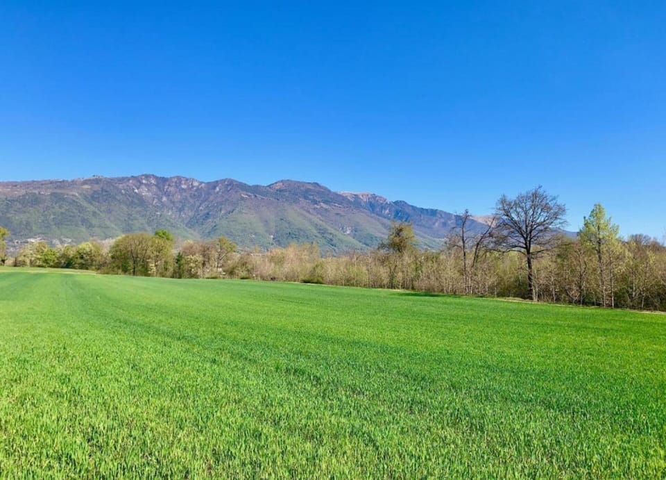 House | View from property