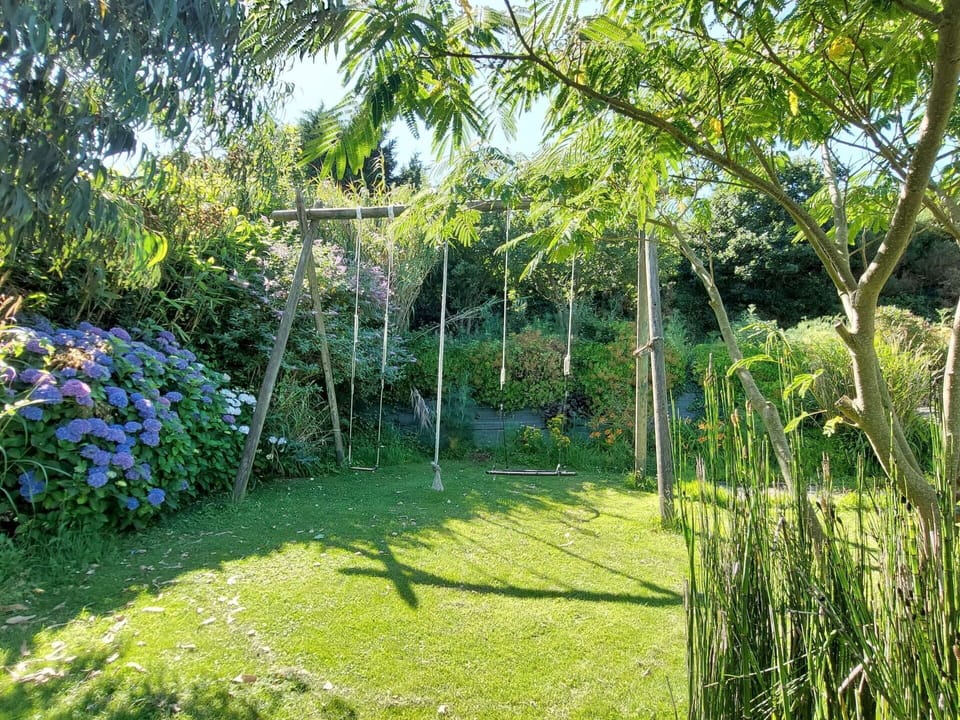 Green, Vegetation, Shrub, Garden, Plant Community, Groundcover, Shade, Lawn, Backyard