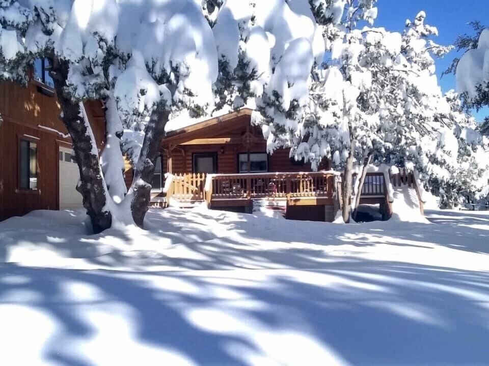 January 2021. 3 feet of snow!
