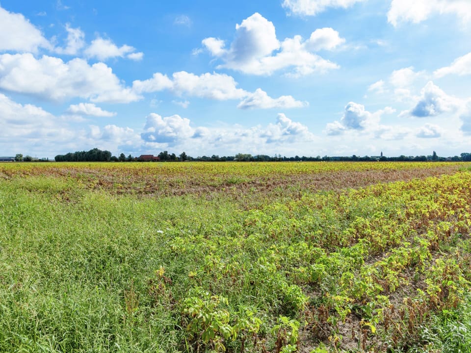 House | View from property