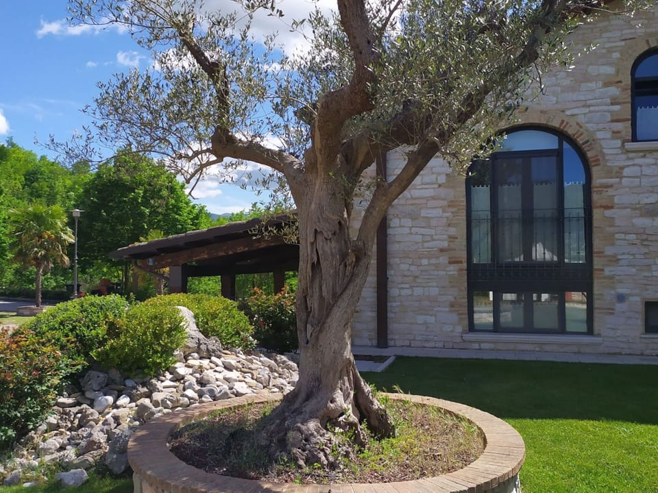 House | Garden