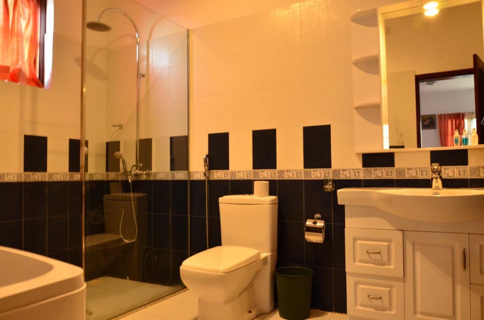 Shower, free toiletries, hair dryer, bidet