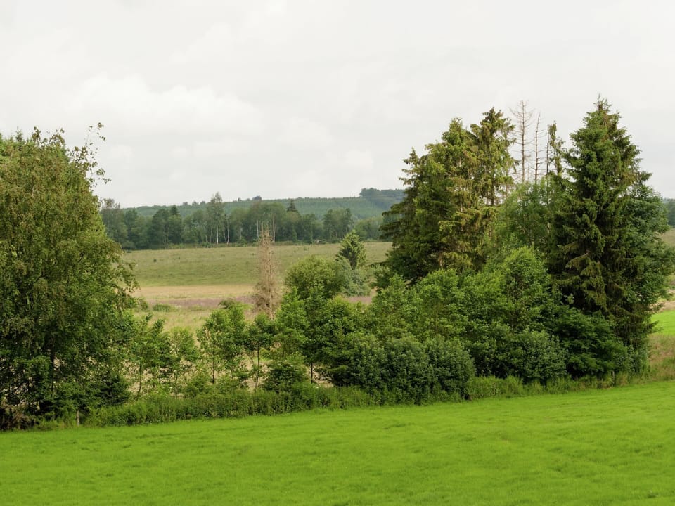 House | View from property