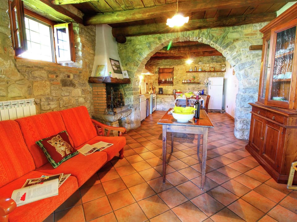 House | Living area | Fireplace