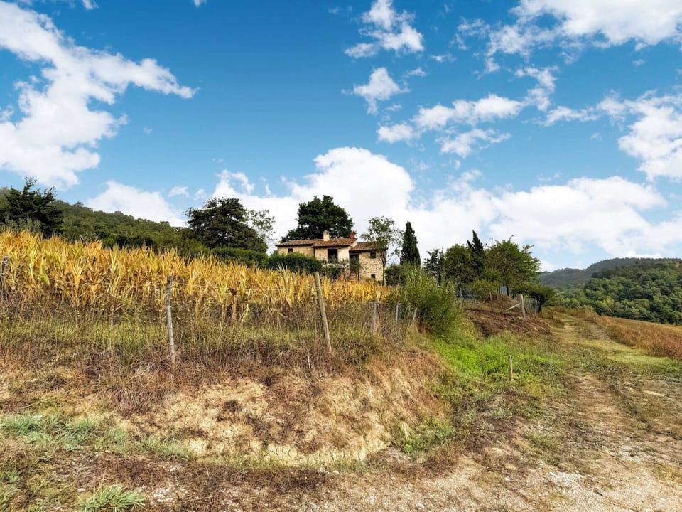 Villa | View from property