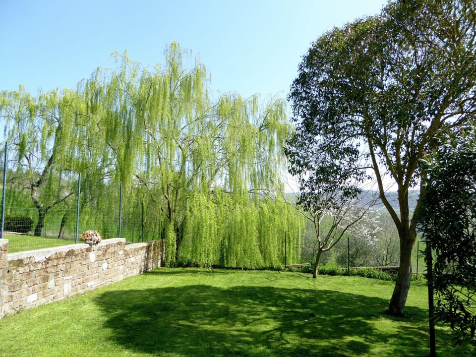 House | Garden