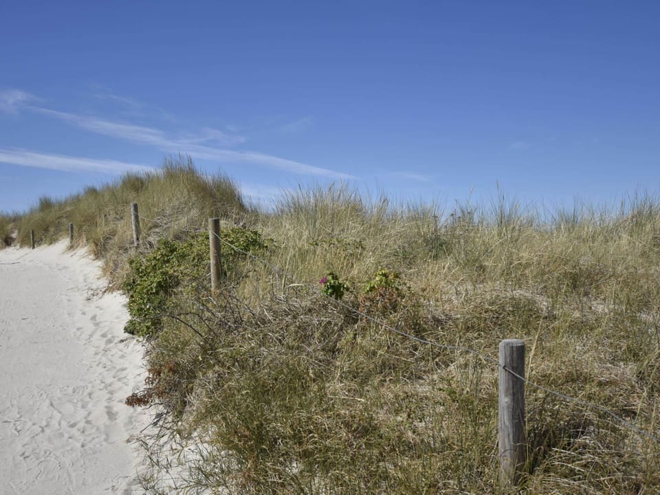 Apartment | View from property