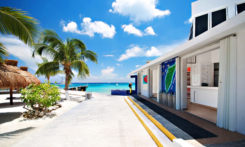 Superior Room (Up to 5 days of boat diving!) | 1 bedroom, premium bedding, down comforters, laptop workspace