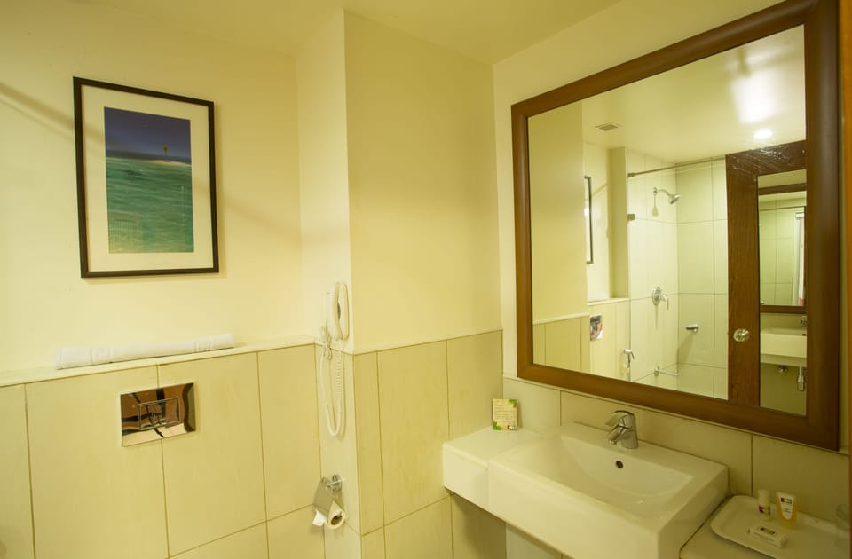 Deluxe Room, 1 King Bed | Bathroom | Shower, free toiletries, hair dryer, towels