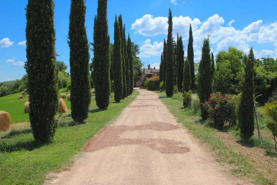 Villa | View from property