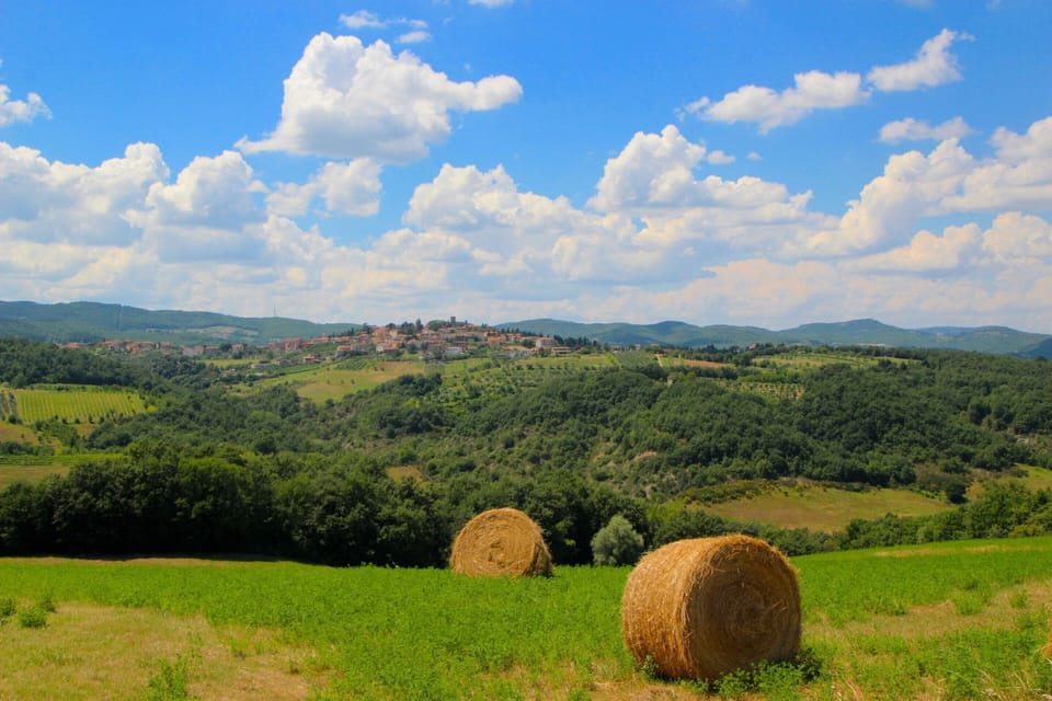 Villa | View from property