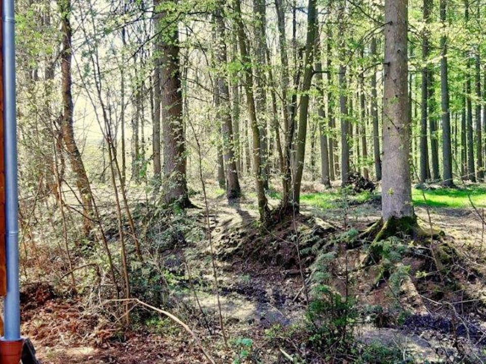 House | View from property