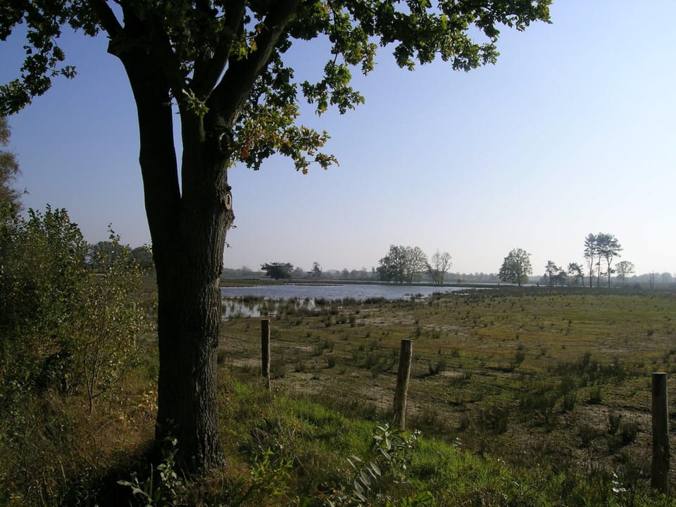 Chalet | View from property