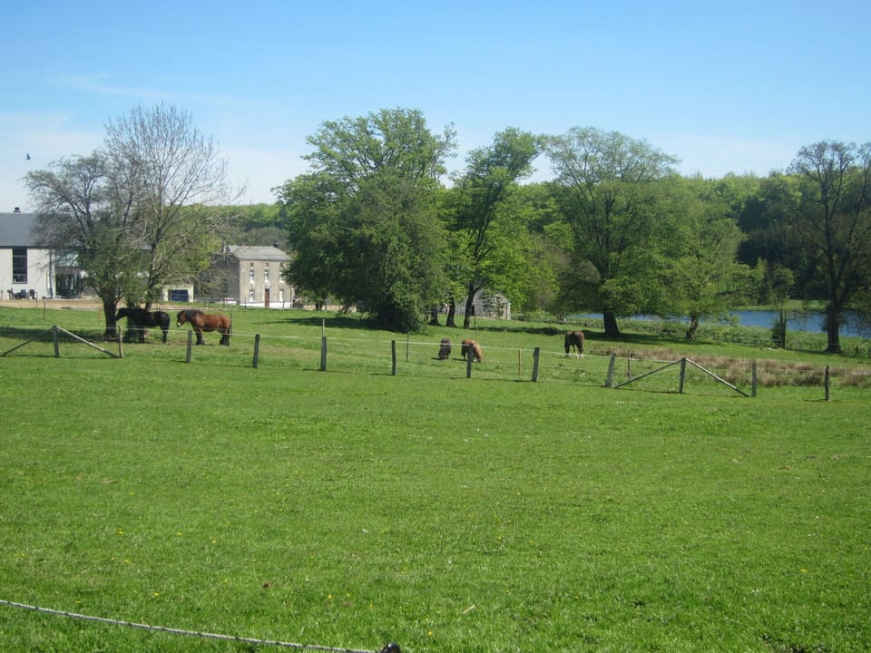 House | View from property