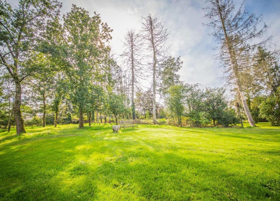 House | View from property