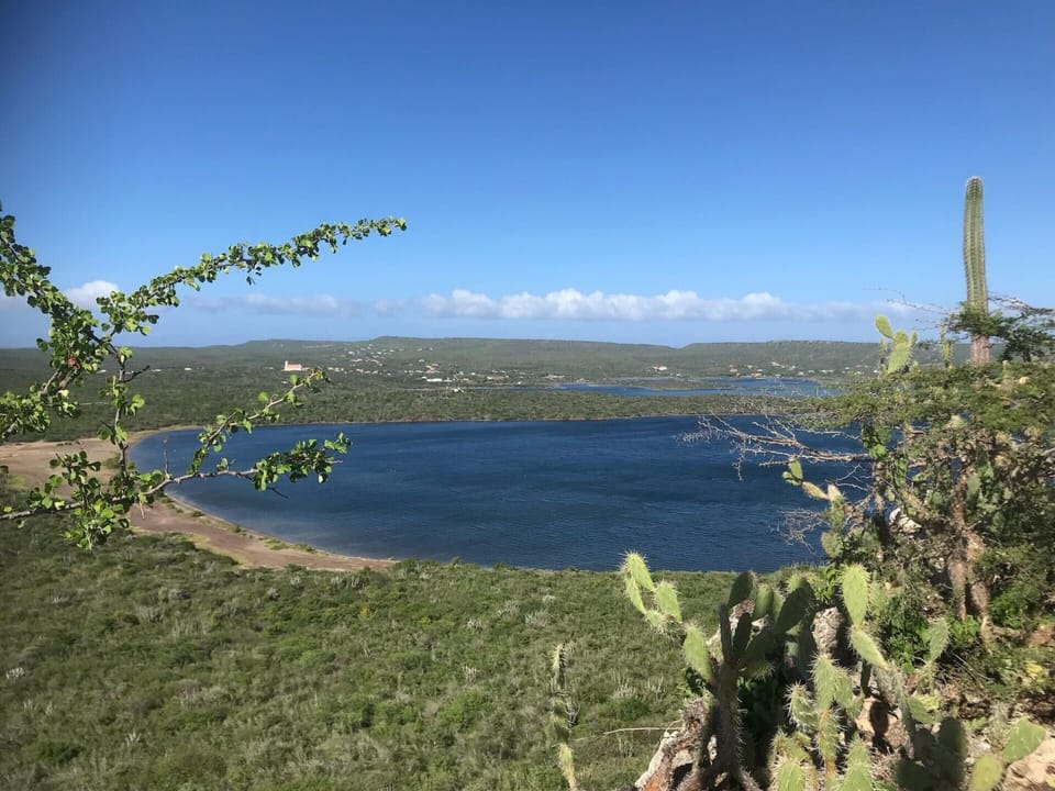 Villa | View from property