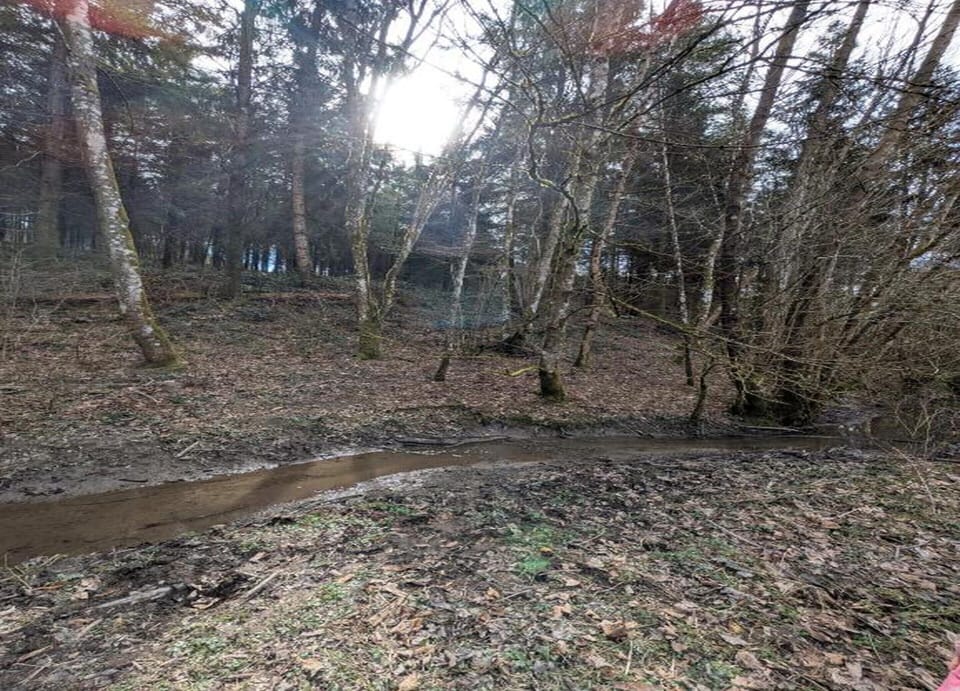 House | View from property