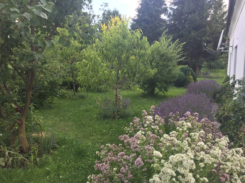 House | Garden