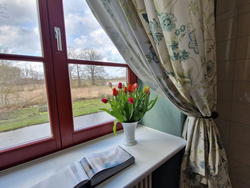 Apartment | View from property