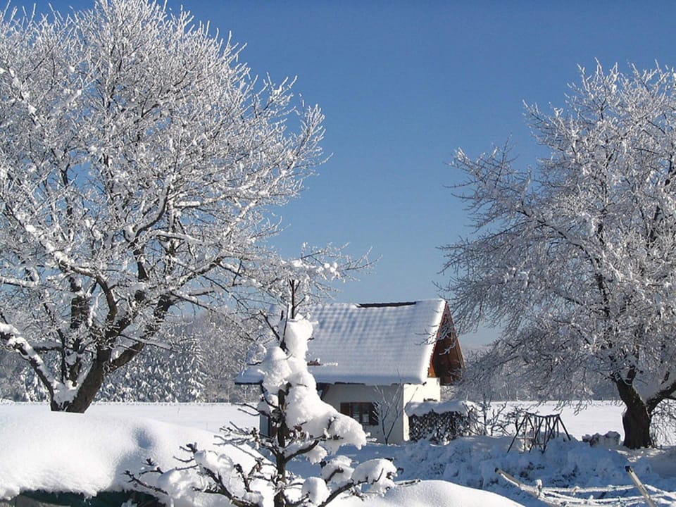 House | Exterior