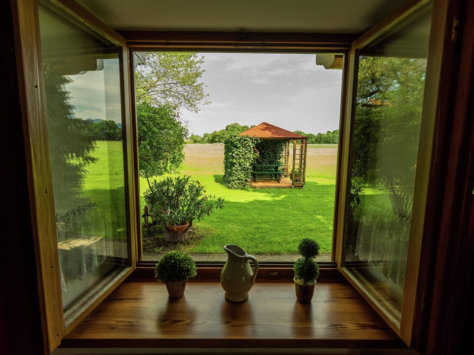 Apartment | View from property