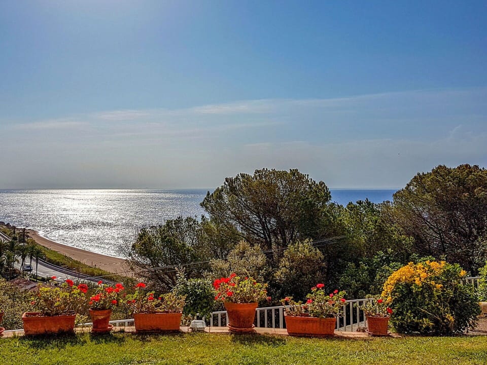 Cloud, Sky, Plant, Water, Tree, Natural Landscape, Land Lot, Arecales, Horizon, Leisure