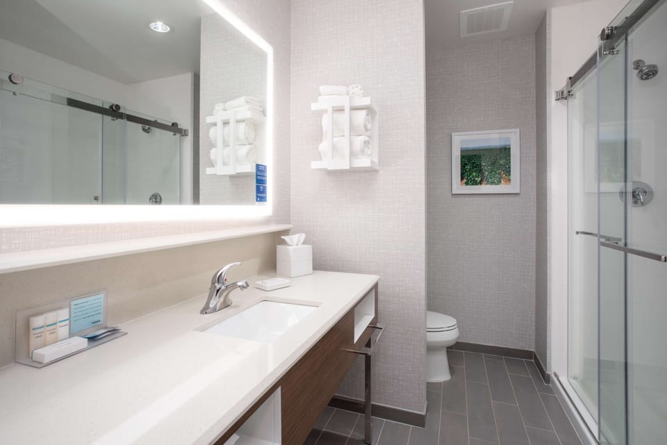 Room, 1 King Bed, Refrigerator & Microwave | Bathroom shower